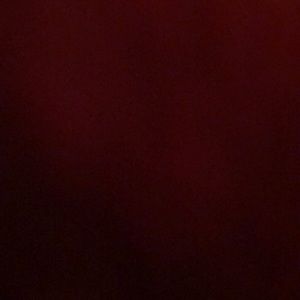 Everything half off!